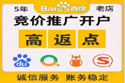 某电商平台信息流竞价策略及成效分析